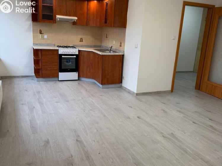 Pronájem bytu 2+KK Braškov, V Podlískách č. 5