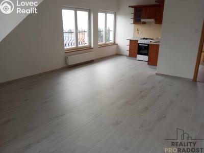 Pronájem bytu 2+KK Braškov, V Podlískách č. 4