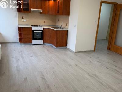 Pronájem bytu 2+KK Braškov, V Podlískách č. 5