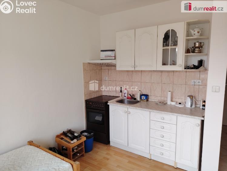 Pronájem bytu 1+KK Děčín, Jezdecká č. 2