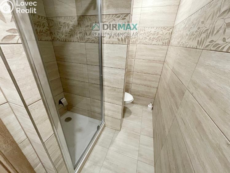 Pronájem bytu 1+1 Třemošná, Budovatelská 819 č. 14