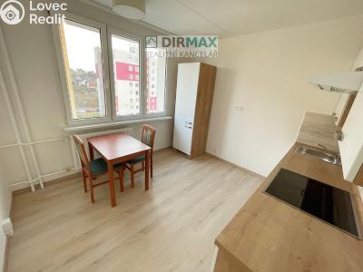 Pronájem bytu 1+1 Třemošná, Budovatelská 819 č. 3