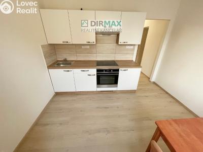 Pronájem bytu 1+1 Třemošná, Budovatelská 819 č. 4