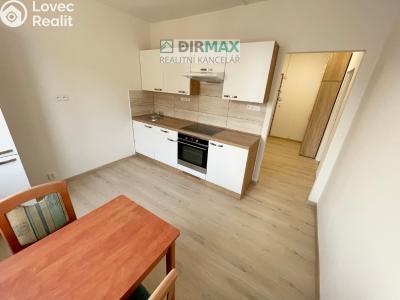 Pronájem bytu 1+1 Třemošná, Budovatelská 819 č. 2