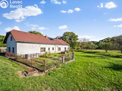Аренда семейного дома Vrbatův Kostelec č. 2