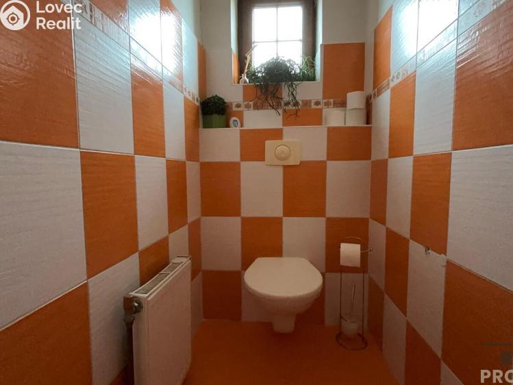 Продажа семейного дома Znojmo č. 13