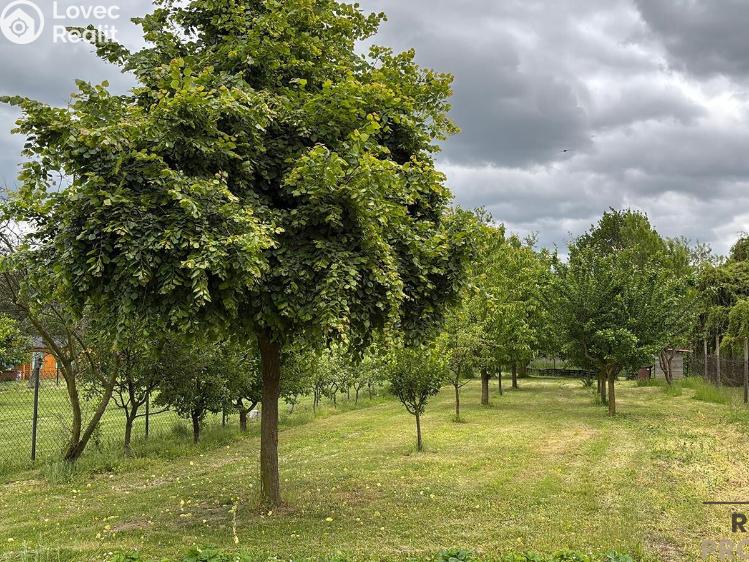 Продажа семейного дома Znojmo č. 17