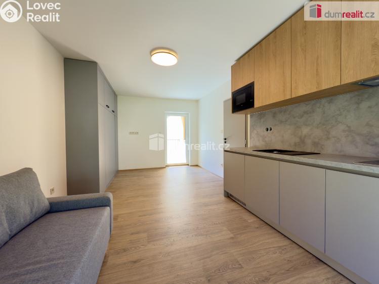 Prodej bytu 1+KK Merklín č. 9