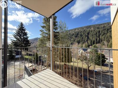 Prodej bytu 1+KK Merklín č. 3