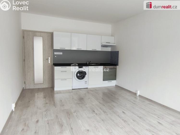 Pronájem bytu 1+KK Děčín, Karla Čapka č. 15