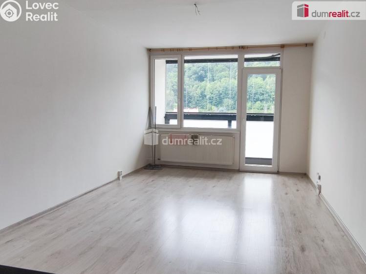 Pronájem bytu 1+KK Děčín, Karla Čapka č. 3