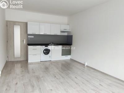 Pronájem bytu 1+KK Děčín, Karla Čapka č. 1