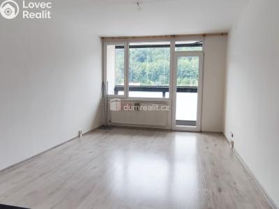 Pronájem bytu 1+KK Děčín, Karla Čapka č. 2