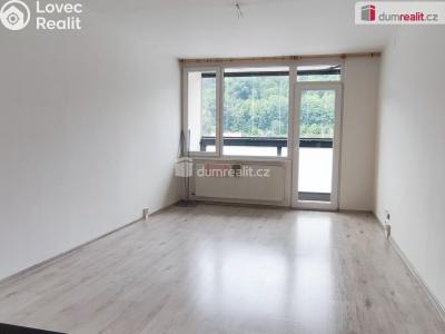 Pronájem bytu 1+KK Děčín, Karla Čapka č. 3