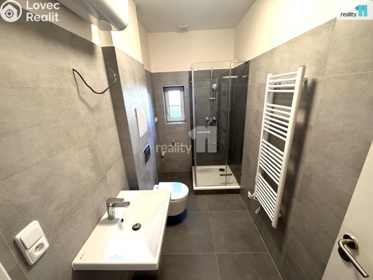 Pronájem bytu 1+1 Praha 4, Hanusova č. 7