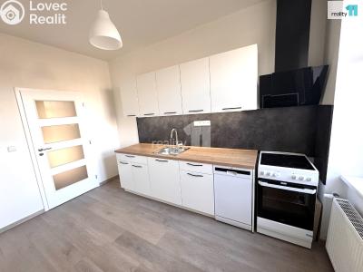 Pronájem bytu 1+1 Praha 4, Hanusova č. 4