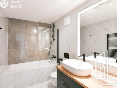 Pronájem bytu 2+KK Praha, Šaldova č. 3