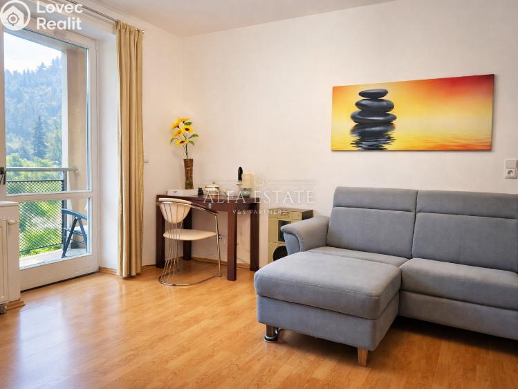 Аренда квартиры 3+1 Karlovy Vary, Mariánskolázeňská č. 10