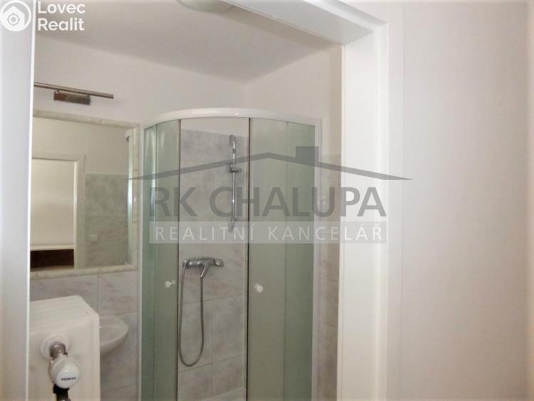 Pronájem bytu 2+1 České Budějovice, Čechova 446/22 č. 9