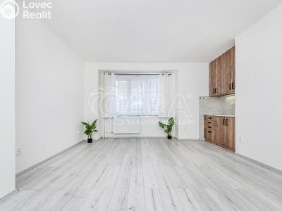 Prodej bytu 1+KK Kralupy nad Vltavou, nám. Mládežníků 678 č. 5