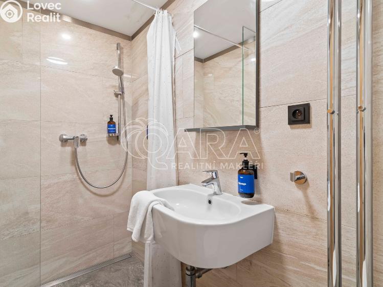 Sale atypical apartment Praha, Mánesova 1105/46 č. 13