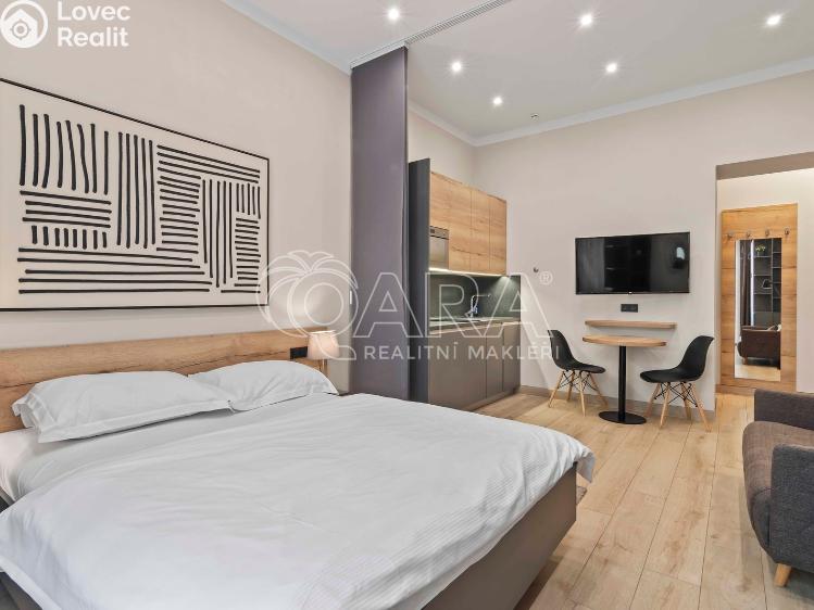 Prodej atypického bytu Praha, Mánesova 1105/46 č. 7