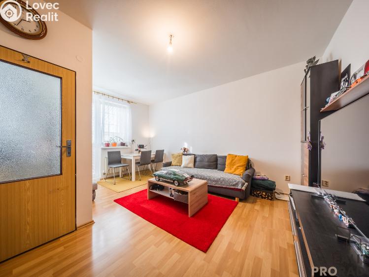 Prodej bytu 2+1 Bzenec, Průmyslová 1453 č. 8