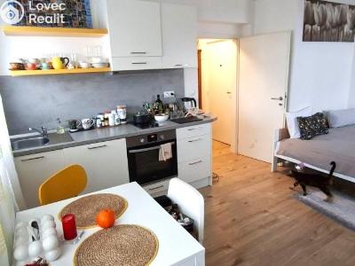 Pronájem bytu 1+KK Praha, Budějovická č. 6