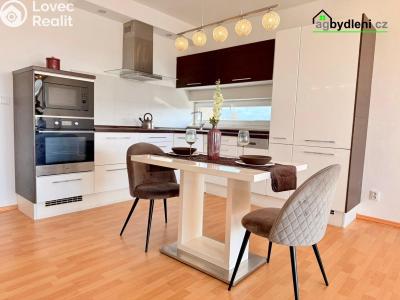 Pronájem bytu 2+KK Plzeň č. 4