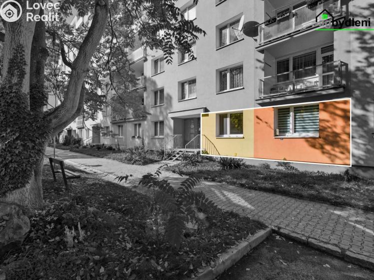 Pronájem bytu 2+1 Plzeň č. 10