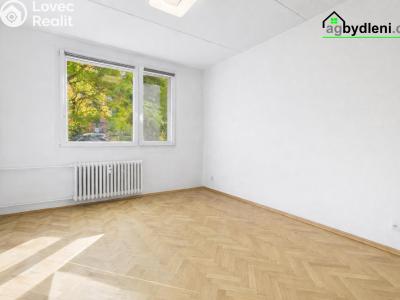 Pronájem bytu 2+1 Plzeň č. 3