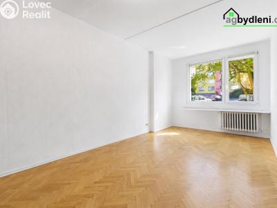Pronájem bytu 2+1 Plzeň č. 4