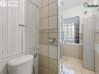 Pronájem bytu 2+1 Plzeň č. 6