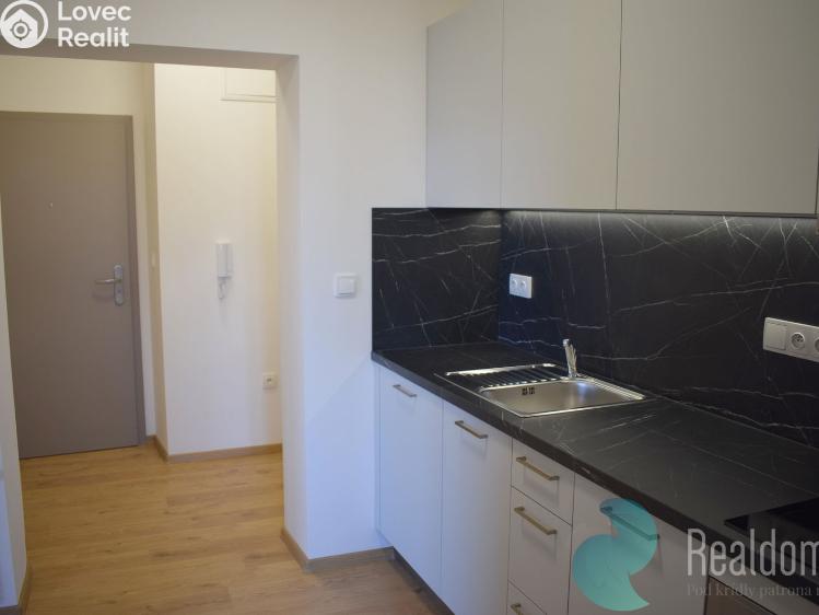 Pronájem bytu 1+1 České Budějovice, Prašná 352/2 č. 3