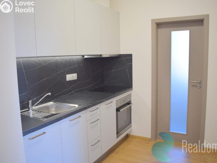 Pronájem bytu 1+1 České Budějovice, Prašná 352/2 č. 6