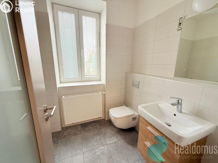 Rent apartment 1+1 České Budějovice, Prašná 352/2 č. 4