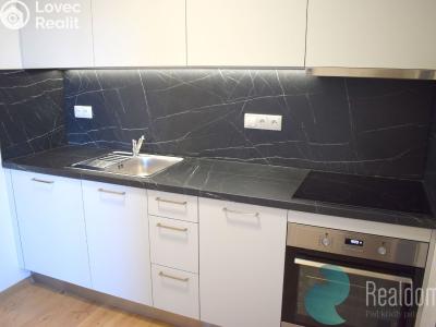 Pronájem bytu 1+1 České Budějovice, Prašná č. 1