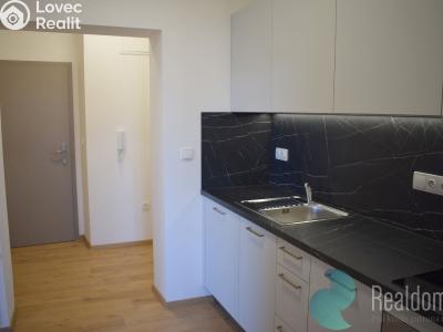 Pronájem bytu 1+1 České Budějovice, Prašná č. 3