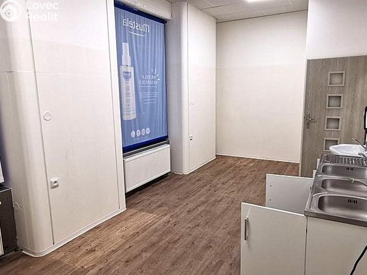 Rent commercial space Brno č. 7