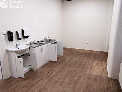 Rent commercial space Brno č. 6