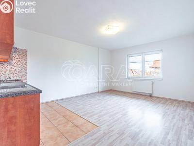 Prodej bytu 1+KK Holubice, Buková 73 č. 3