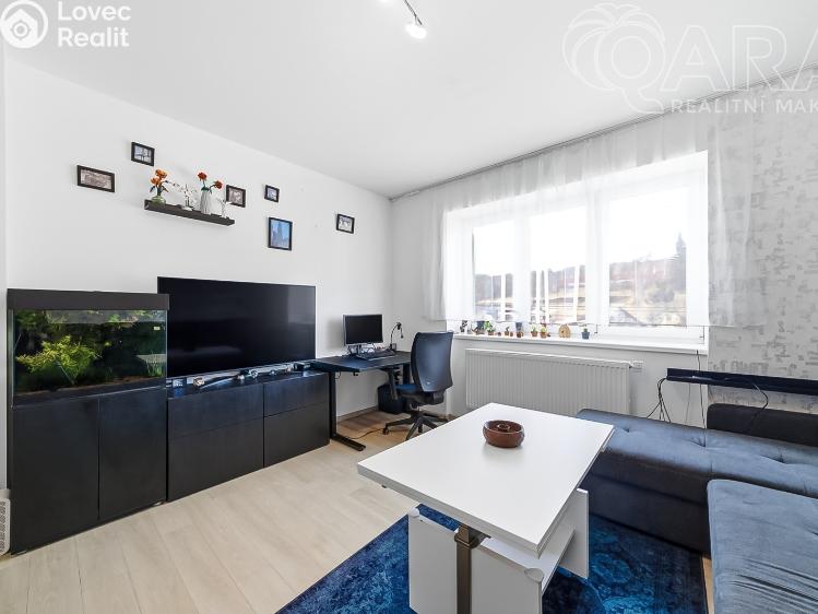 Продажа семейного дома Vyškov č. 19