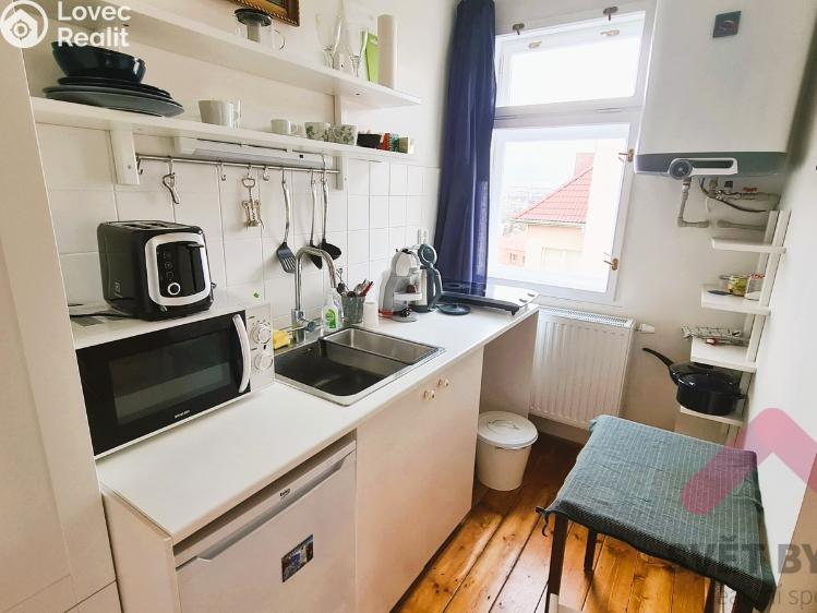 Pronájem bytu 1+KK Praha, Nad Rokoskou č. 1