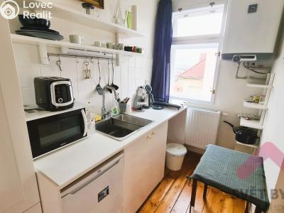 Pronájem bytu 1+KK Praha, Nad Rokoskou č. 1