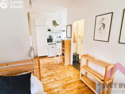 Pronájem bytu 1+KK Praha, Nad Rokoskou č. 4