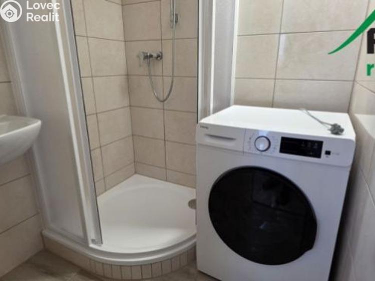 Pronájem bytu 2+1 Bor, Přimdská č. 6