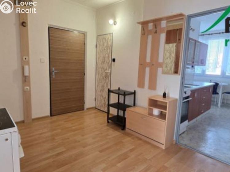 Pronájem bytu 2+1 Bor, Přimdská č. 7