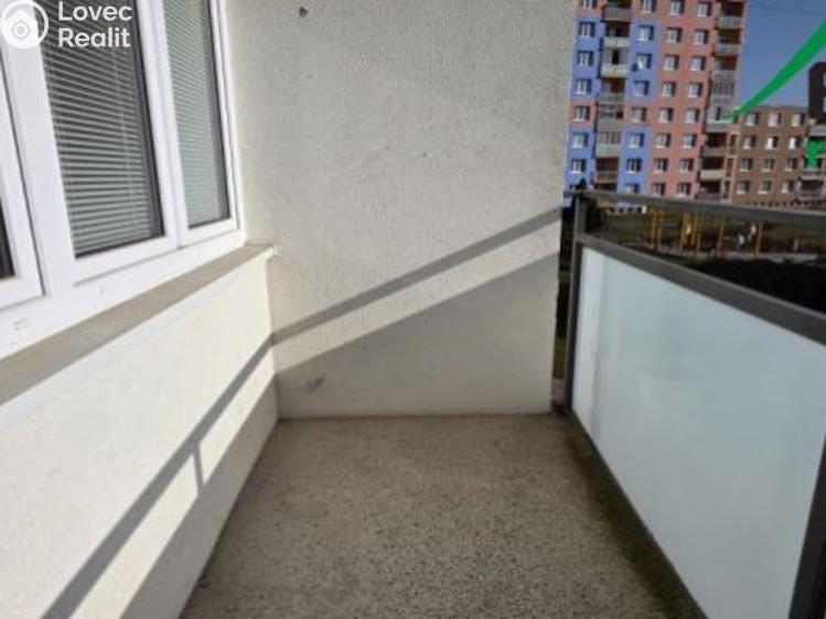 Pronájem bytu 2+1 Bor, Přimdská č. 10