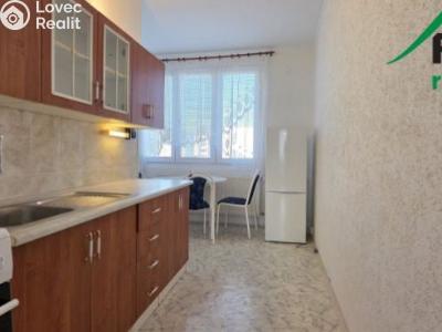 Pronájem bytu 2+1 Bor, Přimdská č. 1