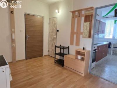 Pronájem bytu 2+1 Bor, Přimdská č. 6